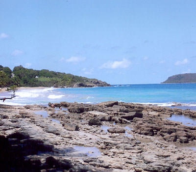 Sainte Rose