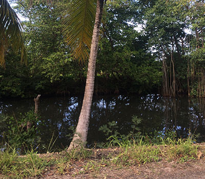 Morne-à-L'eau